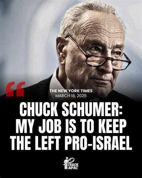Schumer literally told us his job isn't fighting for us.

Why are so many still surprised? He admitted it.
