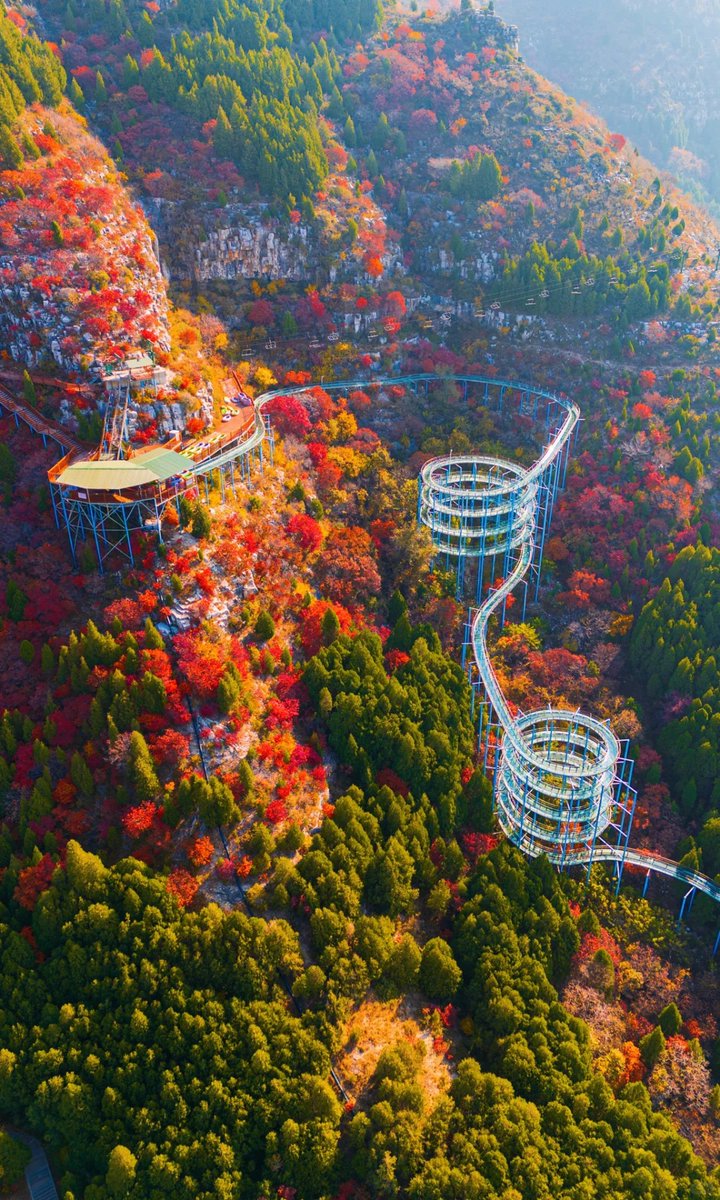 yongxin659's tweet image. 全屏看石门坊红叶！随手一拍都是壁纸