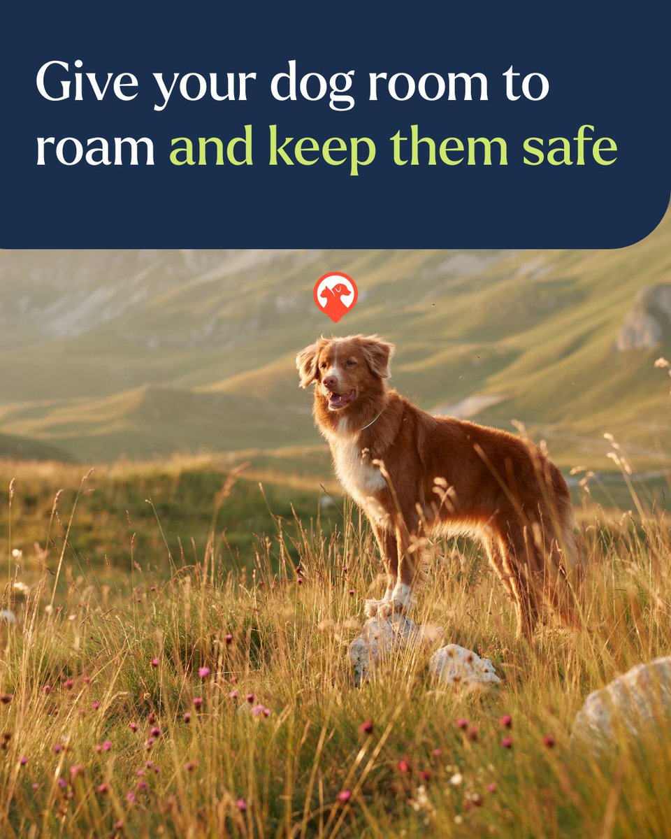 DatamarsPetLink's tweet photo. Even the most well-trained dogs may wander too far. With geofence in PetLinkGPS, you can set a virtual boundary around your property. If your dog steps outside that safe zone, you'll get an alert straight to your phone so you can act fast. https://t.co/eRQvvfiZ1U https://t.co/rPeJiLXm17