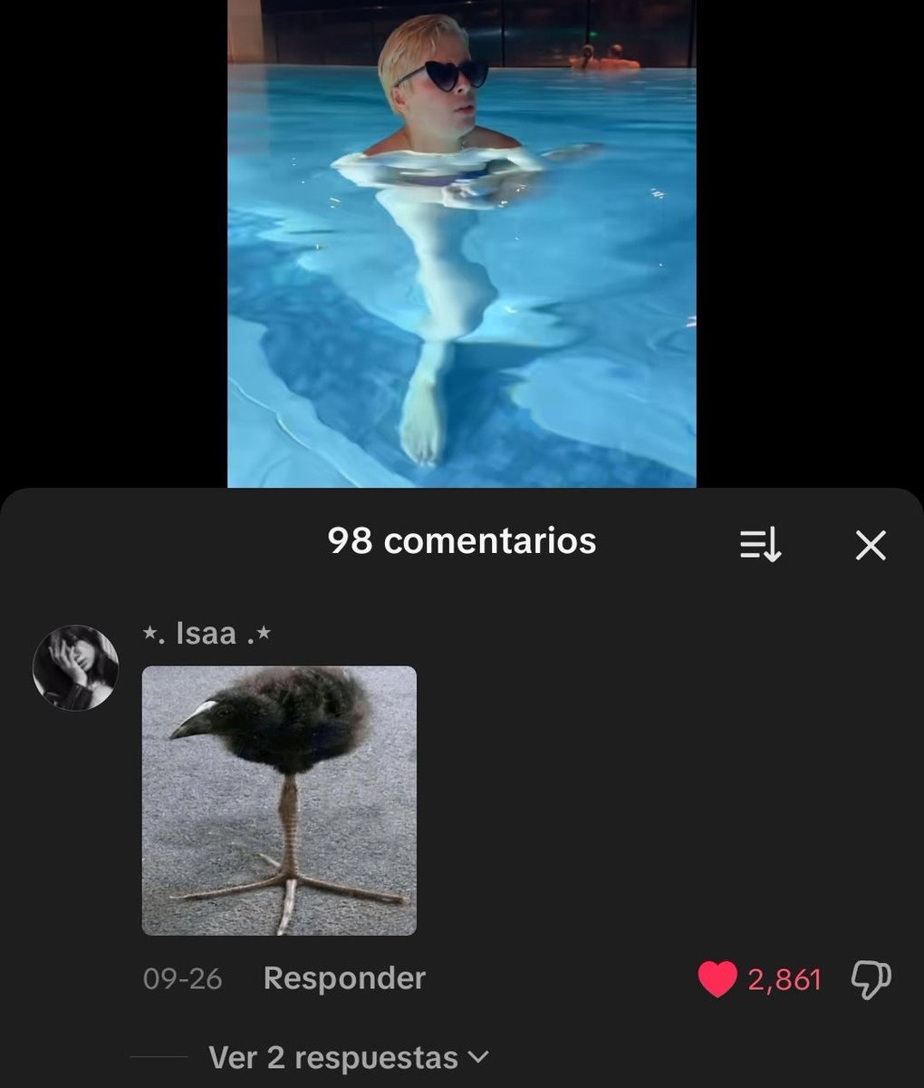 sofisters without context tweet media