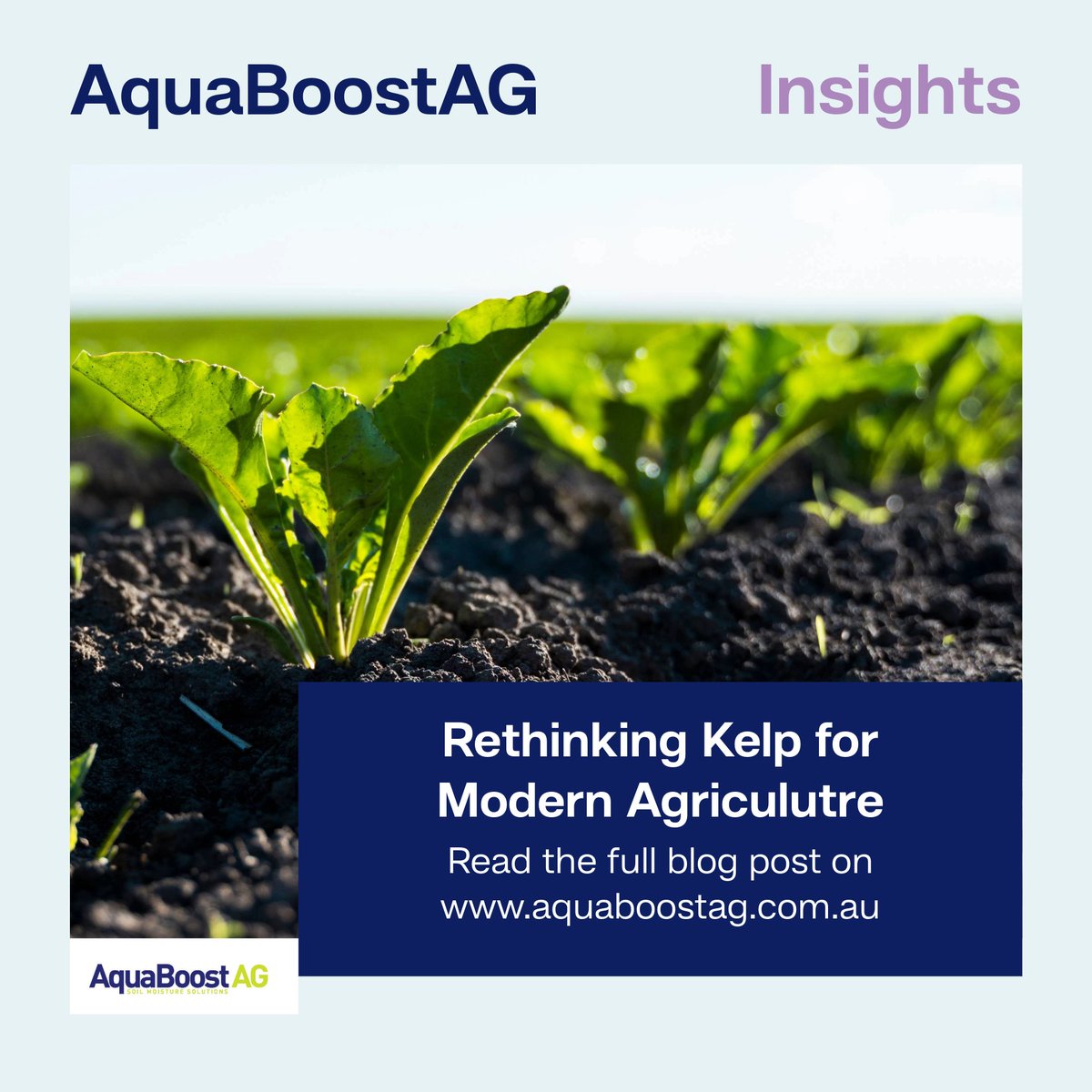 BioCentralAG's tweet image. 🌱 Kelp extracts have long been a part of plant #nutritionprograms
As wild kelp declines, farmers face a challenge: how to support crops without stressing fragile ecosystems?
Innovation + Responsible Sourcing = Next-gen #Biostimulants 💧
Learn more ➡️ aquaboostag.com.au/post/the-vanis…