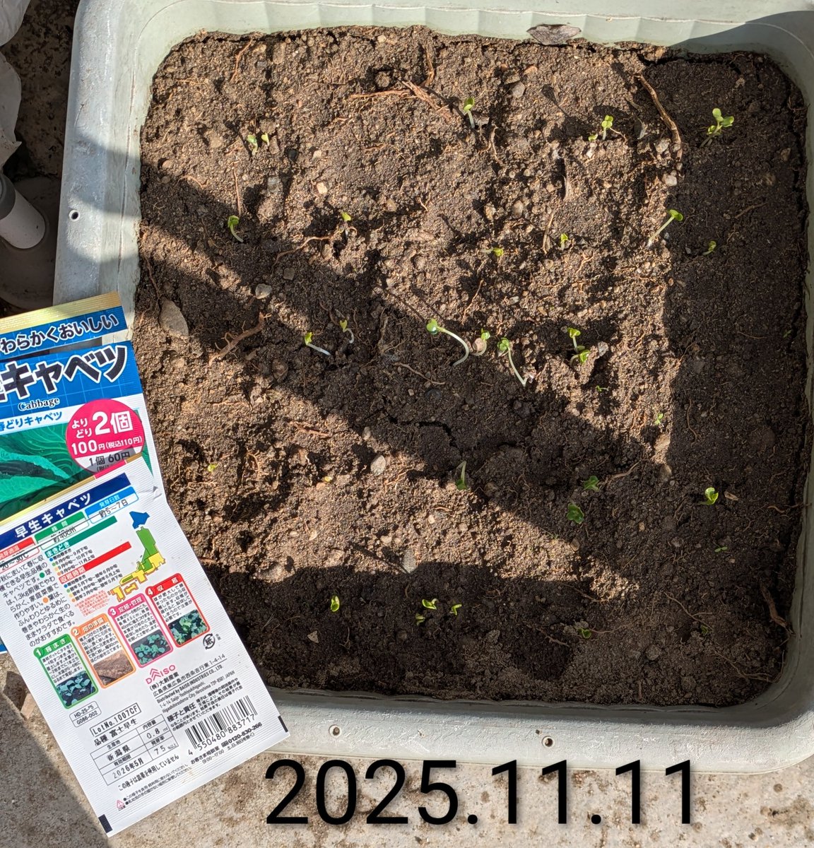 カノン♪四字熟語の音色♬ (@emblemer2022) / Posts / X