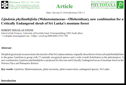 Phytotaxa's tweet photo. Lijndenia phyllanthifolia (#Melastomataceae—#Olisbeoideae), #newcombination for a Critically Endangered shrub of Sri Lanka’s montane forest
#taxonomy #OpenAccess
https://t.co/KIbMpUJKo2 https://t.co/B1B8J26fHK