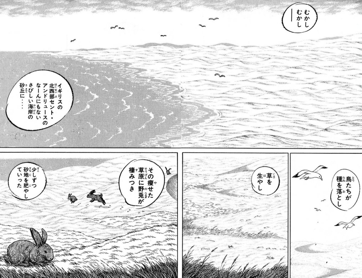 幻ページ デッドセクション on X