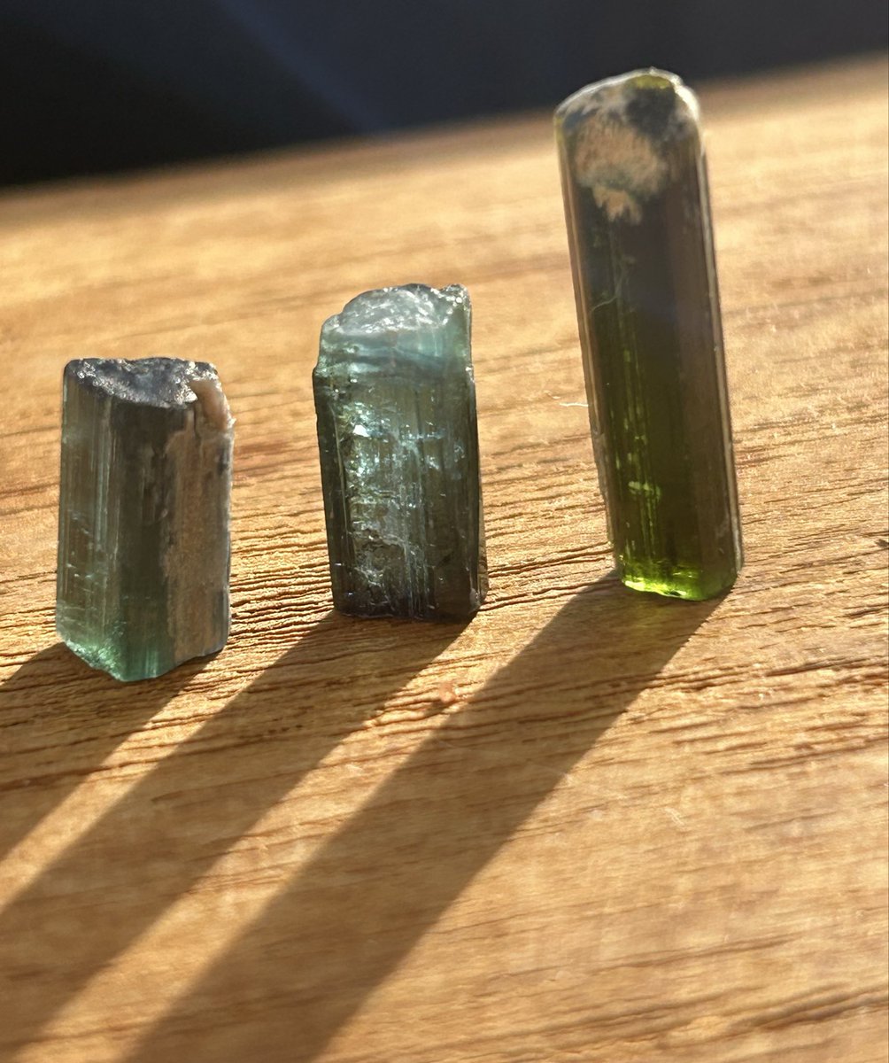 まめすけ (@mamesuke210115) / Posts / X