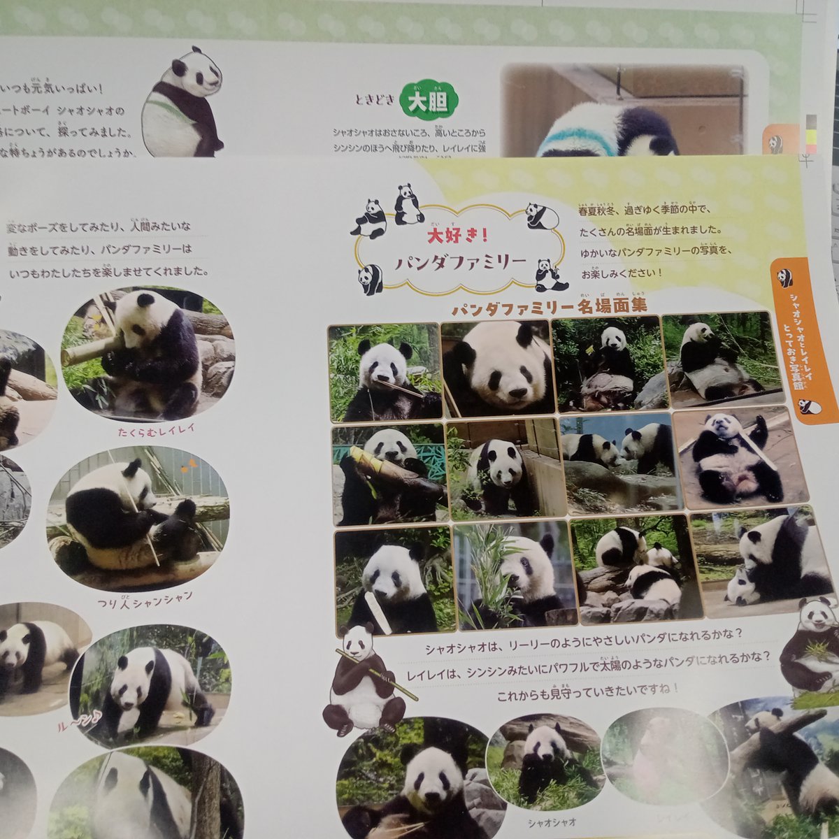 技術評論社パンダ部 (@gihyo_panda) / Posts / X