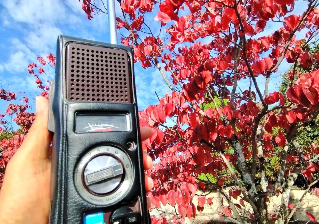 モーニング散歩🚶
今朝はワンチャンスを逃してしまった😩
おきなわOS404局　53/CBL とどかな～い❗
再浮上無し😢
GWで
ならHB87局　55/55
ありがとうございました🙇‍♂️
ハナミズキが良い色になっています😃