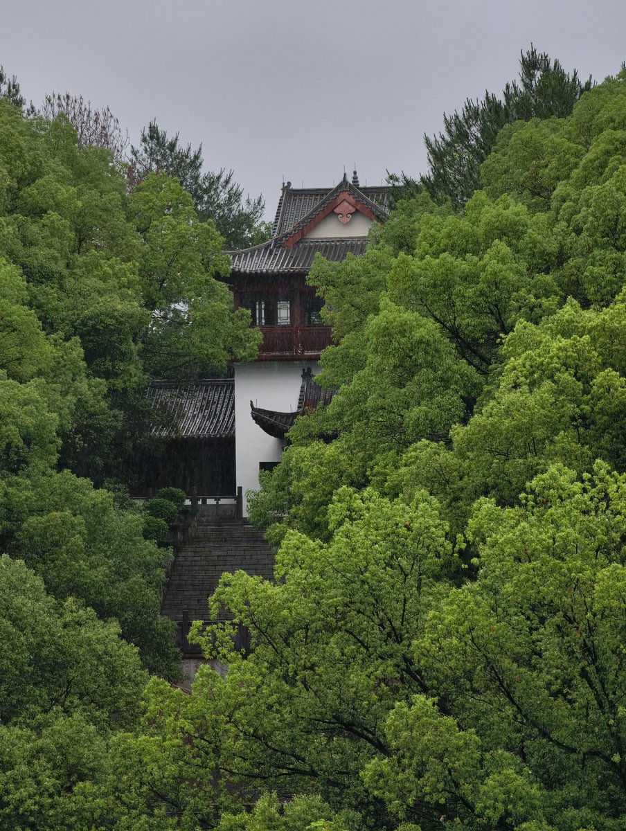 chinn Wan（互fo互赞） tweet media