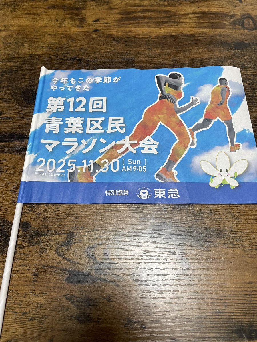 #青葉区民マラソン大会
役所前で配っていた応援手旗
いただきました‼︎
走る側が手にするのもまた新鮮😉

近隣の方々
11/30(日)はコース随所で配布されるそうです🚩

この旗を振ってランナーへの盛大なる応援を是非ともよろしくお願いします🙏

#なしかちゃん
#のるるん
#Yocco18
#山内あおば