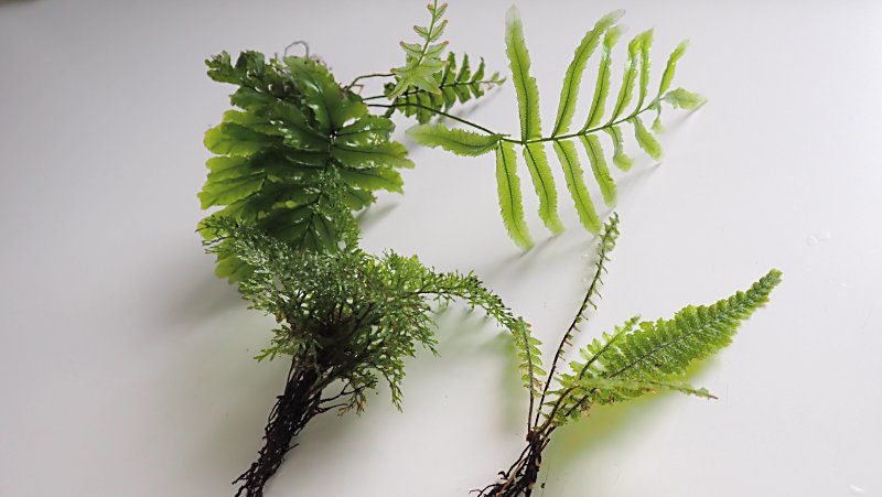 KENZO (@fw_kenzo) / Posts / X