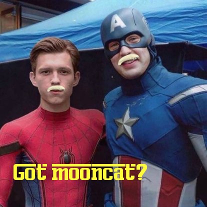 GM = Got Mooncat?

🌙😼