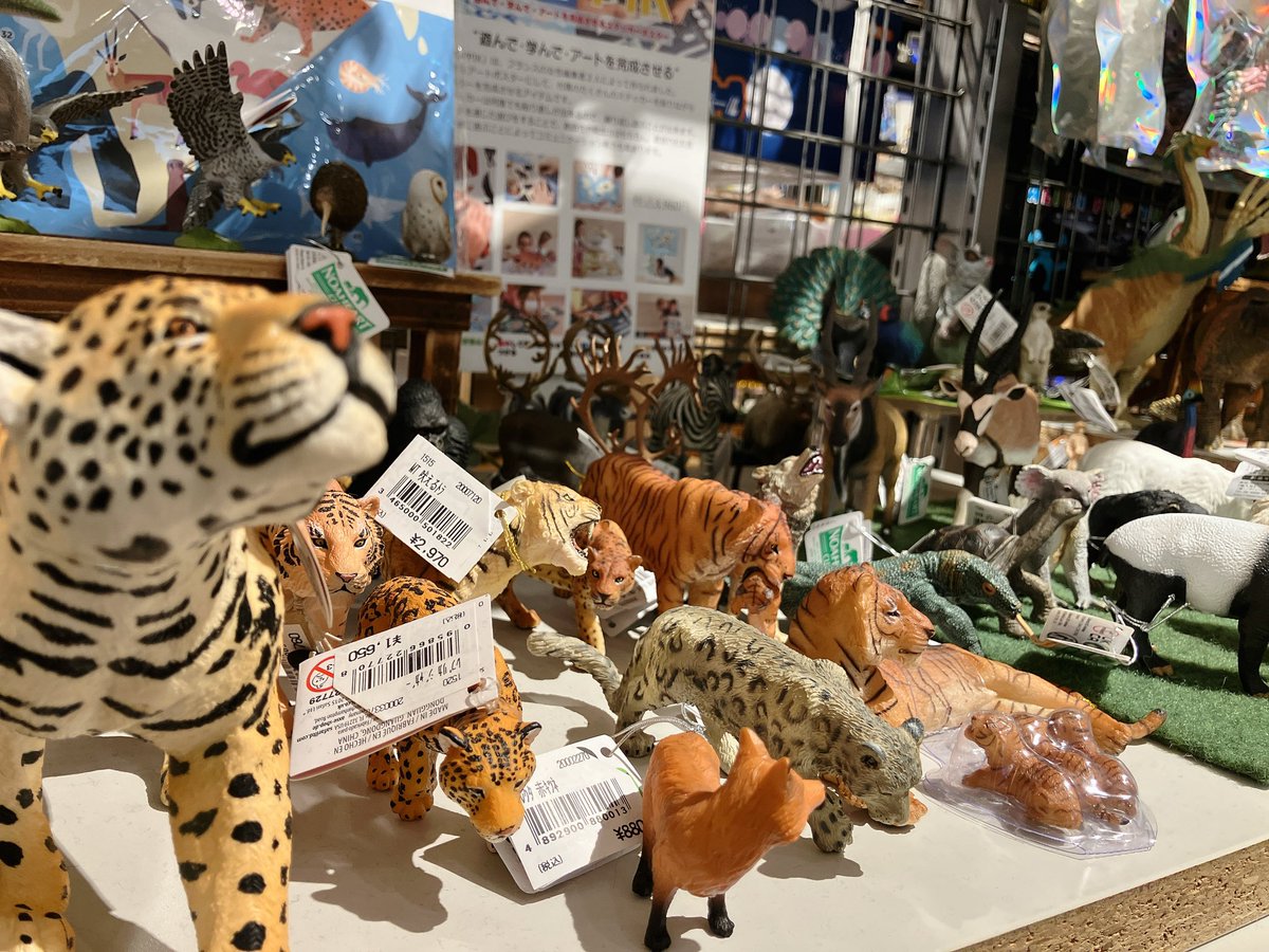 フィギュアがたくさんやってきました🦕🦁

古生物たちの中には、国立科学博物館で開催中の大絶滅展で見られる子たちがチラホラ👀

どの子が展示にいたのか探すのもめちゃくちゃ楽しいのでぜひお越しの際はお試しあれ！

スタッフ🐍