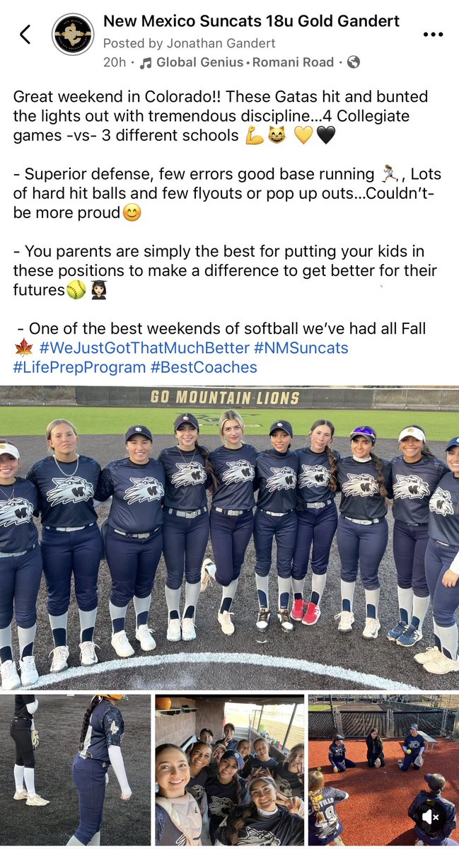 NM SUNCATS 18U GOLD - GANDERT tweet media