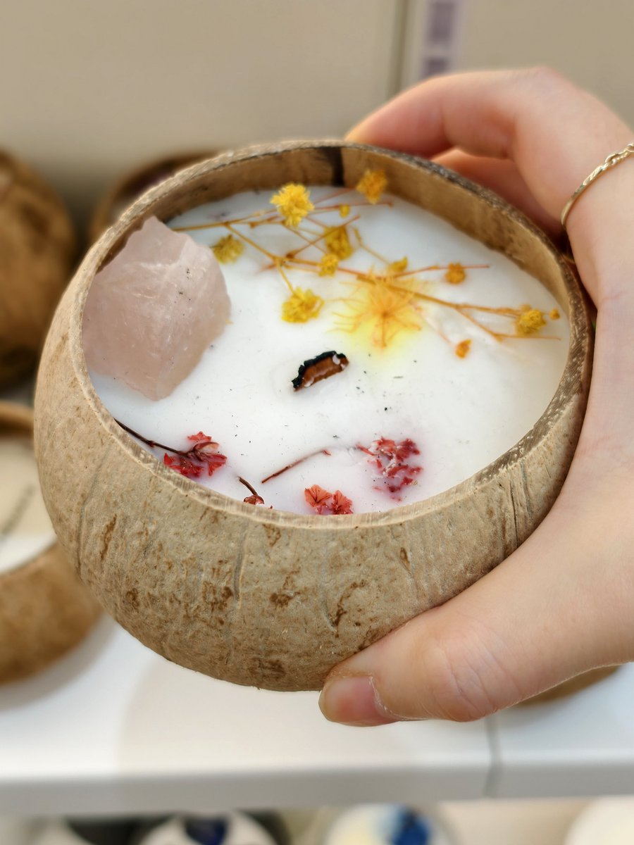 CirceHome's tweet photo. Some call it a candle, we call it a mini island getaway 🏝️ Hand-poured into real coconut shells, each one carries the scent of sunshine, salt air, and slow afternoons. Light it, close your eyes—and you’re already on vacation.

#candlemanufactuer #candlefactory #candlebusiness https://t.co/tblC3XPMo7