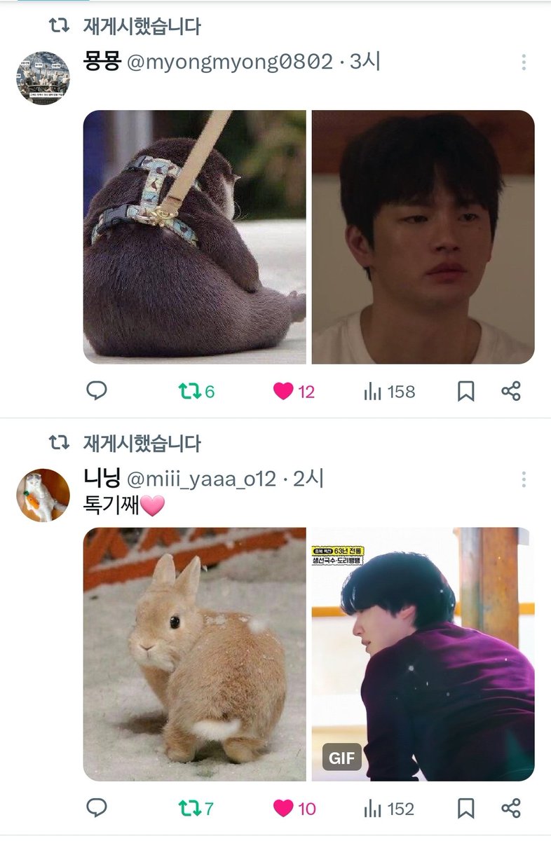 개귀염