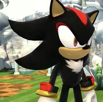 #1 Shadow The Hedgehog Fan (@realshadowfan01) on Twitter photo 