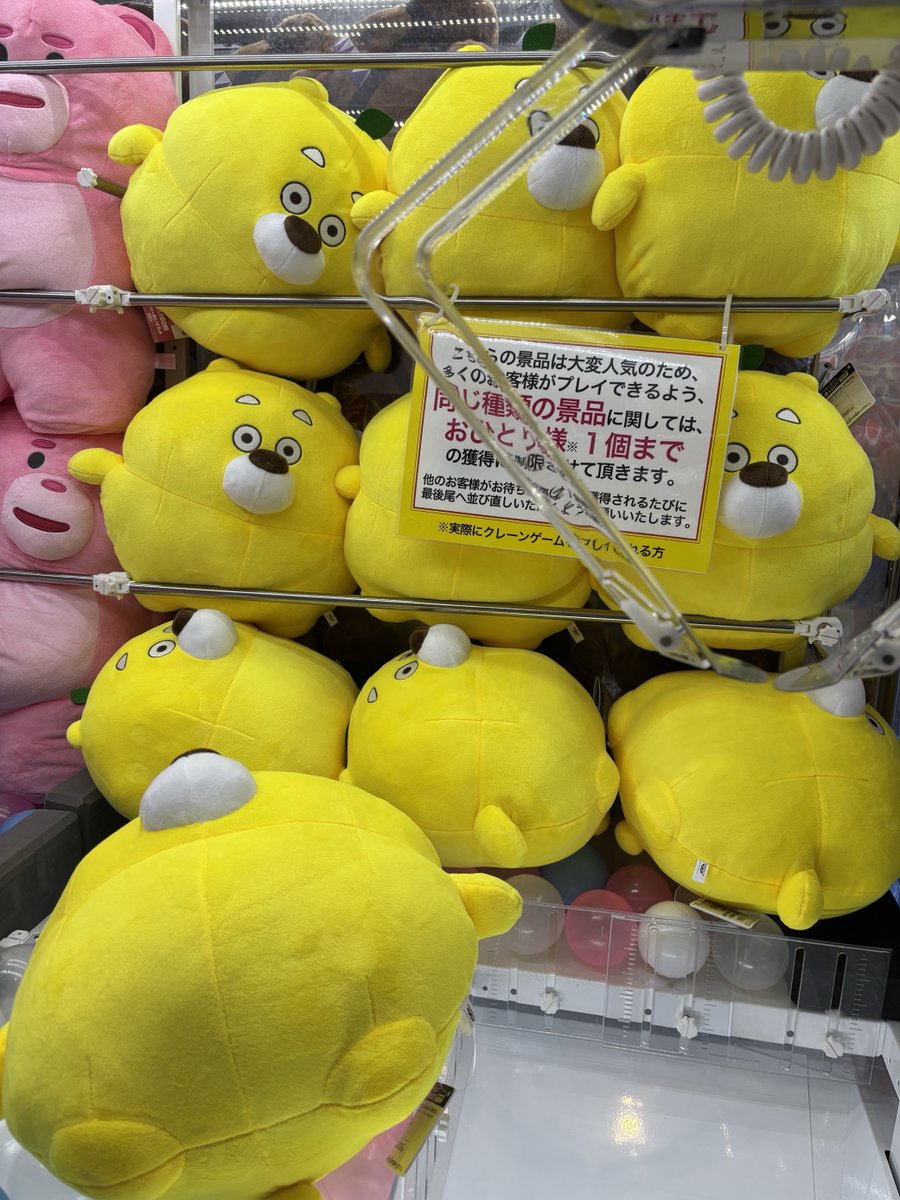 🐻新入荷景品情報🐻 ひろくま カバンに付けられるぬいぐるみーひろくま