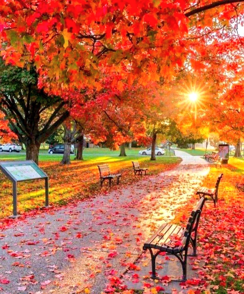 MiniatiMeri's tweet image. #BuongiornoATutti😘 #mattinieri ☕️
#buon #martedì 🧡💛🍁🍂🧡🤎🍂💛🌾🍁🧡💛