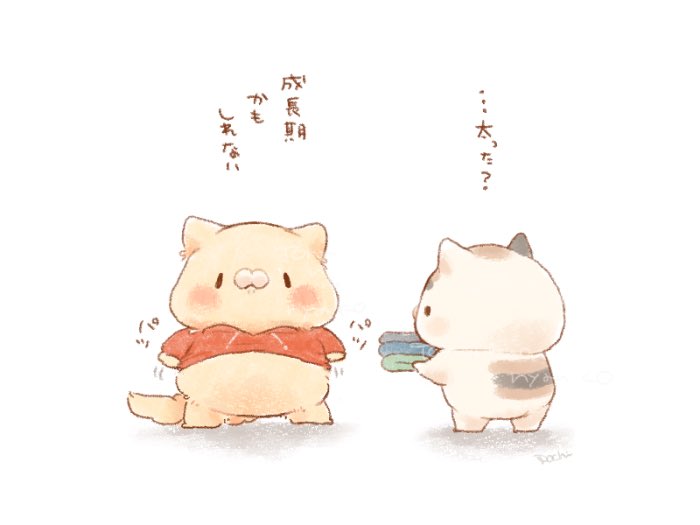 ぽち🐱となりのにゃんこ (@pochi_line) / Posts / X