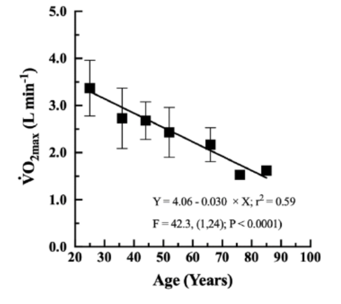 ¿ POR QUÉ ENVEJECEMOS MÁS POR EL MÚSCULO QUE POR EL CORAZÓN?: CLAVES DEL DECLIVE DEL VO₂MAX CON LA EDAD El envejecimiento reduce la capacidad aeróbica no solo por un corazón más lento, sino por músculos menos eficaces para usar oxígeno. La pérdida de mitocondrias, masa y