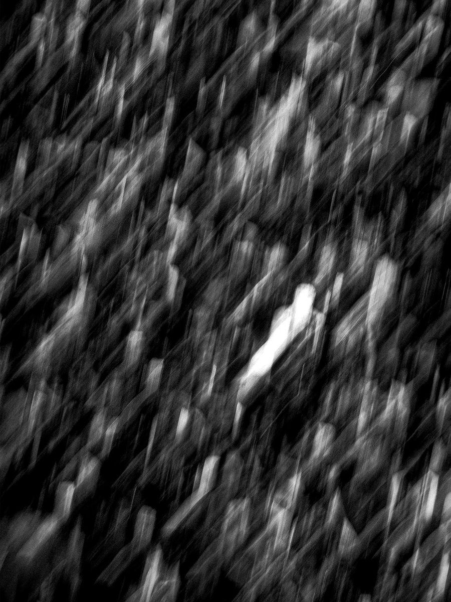 Photos I took in India during festivals.