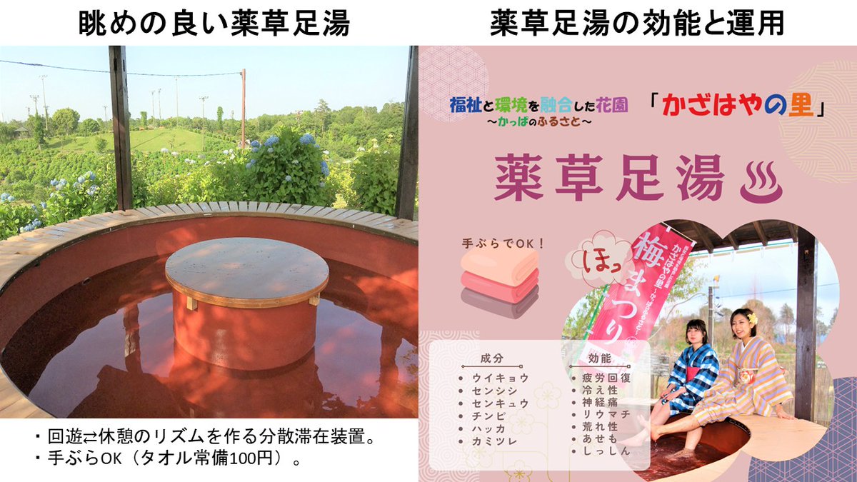kazahayanosato's tweet photo. 7,000㎡・700万本が一斉開花＝100％。
「花と祈りの秋まつり」11/24まで延長。撮る/祈る/癒やす、全部ここに。
「行く」or「行きたい」どっち？コメントで教えて！
#かざはやの里 #花と祈りの秋まつり #コスモス畑 #三重観光 https://t.co/oLrySdIaMQ