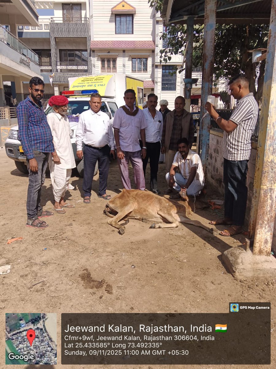 1962 हेल्पलाइन – जीवंद कला में गाय के शॉक केस का सफल उपचार, पशुपालक संतुष्ट।
#1962हेल्पलाइन #AnimalCare #MVUसेवा #PashuSeva #CowCare