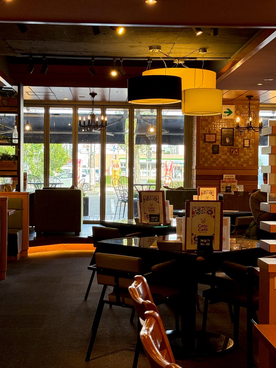 atamaitai_4989's tweet image. さて、ここは何処でしょう？
ビーフシチュー定食があるお店です。
ゆっくり出来るからイイね🐈

あと、すごいボリュームです
これからパフェ食べまーす🍨
#P活名古屋
#P活
#キャッツカフェ