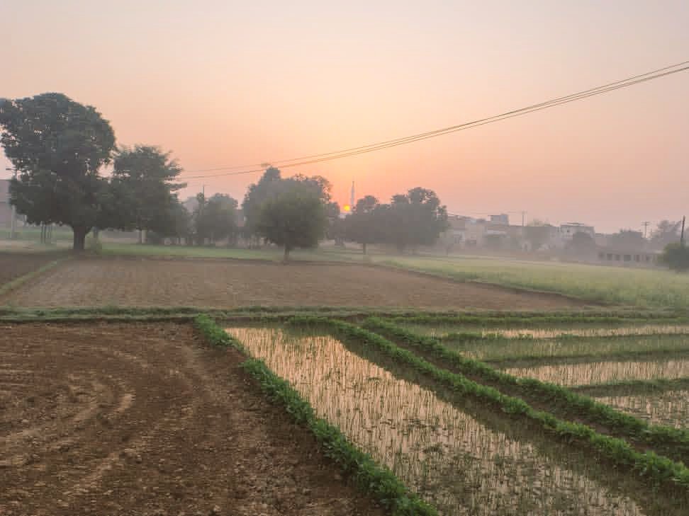 تُو ھے ست رنگی دھنک۔۔۔۔۔۔
..... اور میں گلی کوچوں کی گرد

تُو کہاں بارش سے پہلے۔۔۔۔۔
 میں کہاں بارش کے بعد۔۔۔۔۔

#اردو_زبان
