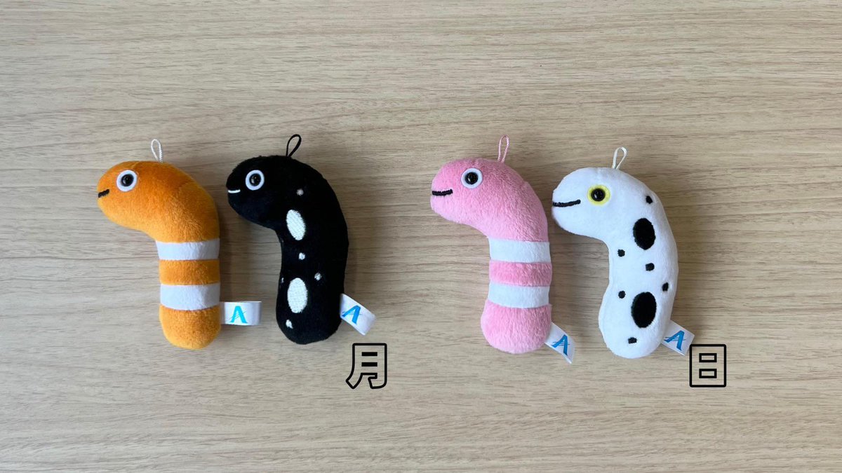 株式会社AQUA公式 (@aqua_yokohama) / Posts / X