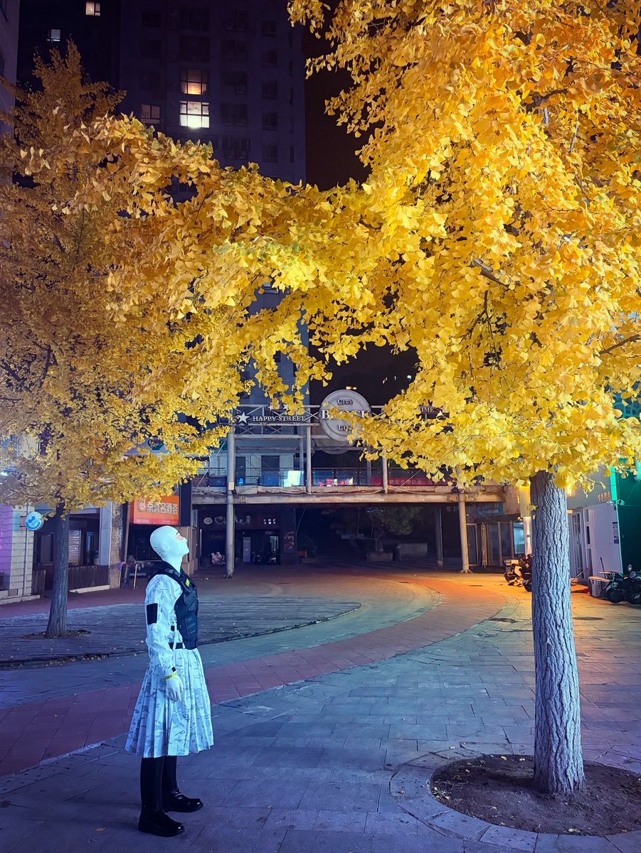 Daniel_Luxys tweet media