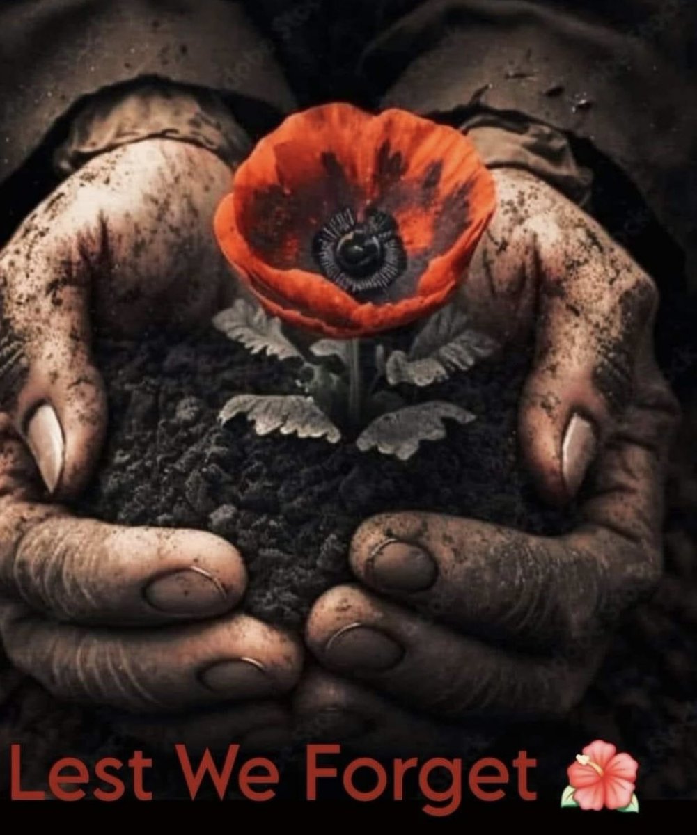 Today we pause to remember the brave men and women who gave their lives for our freedom.
#LestWeForget 🌺
#RemembranceDay