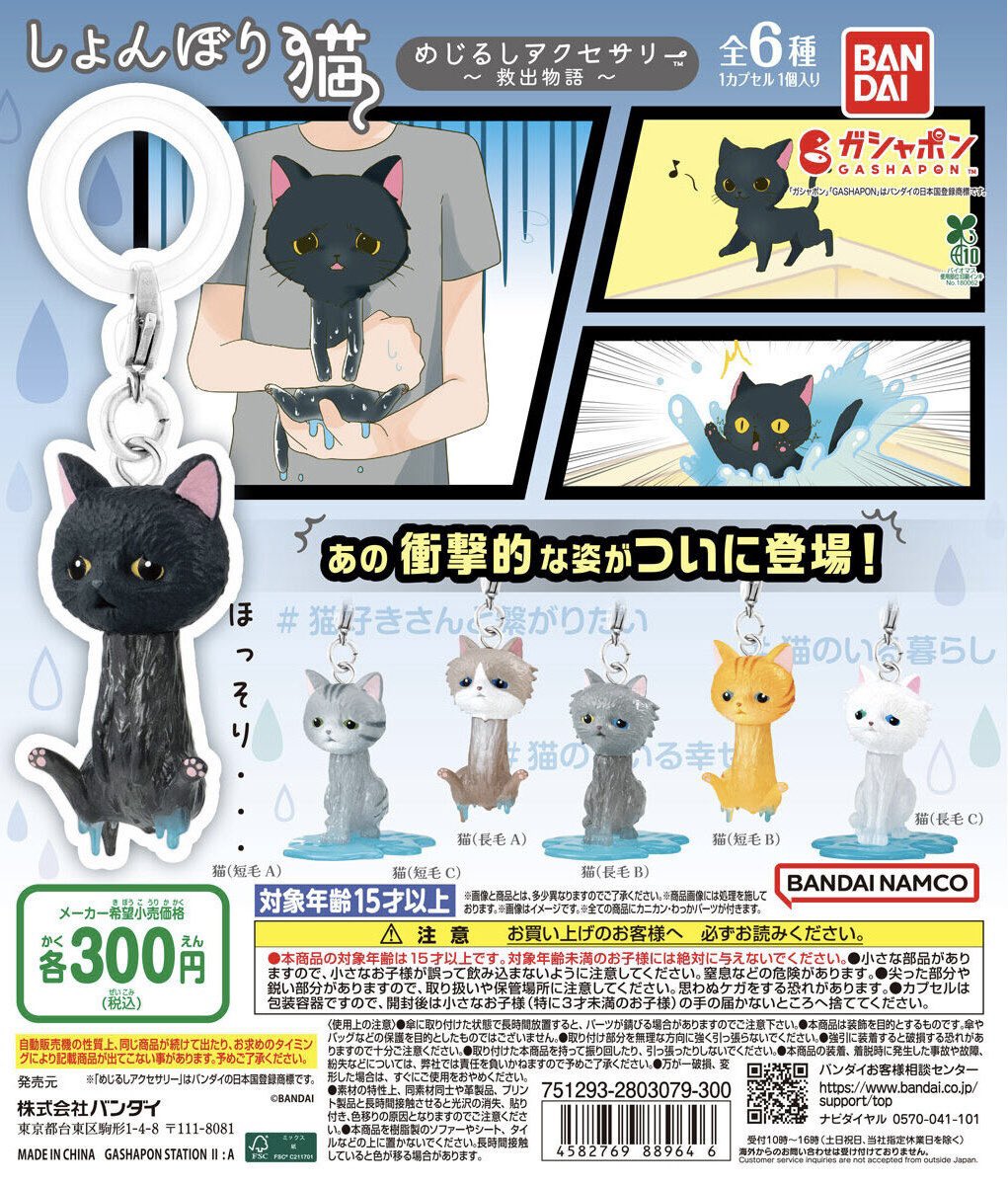 猫ガチャ C-plaCiiNA CiiNA屯田店【公式】 on X