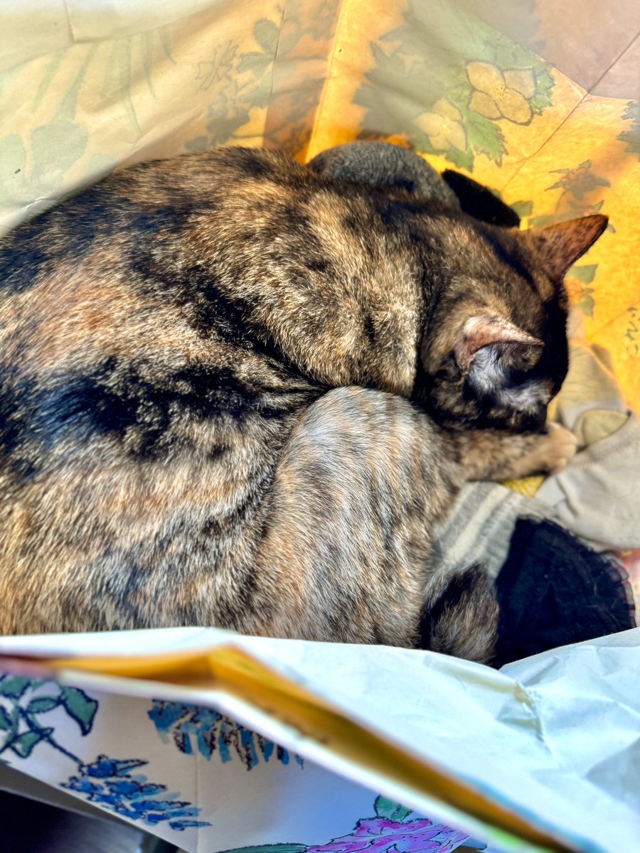 Catloveページ HO Brass MEW - Model Engineering Works CM - Colorado Midland 4-6-0