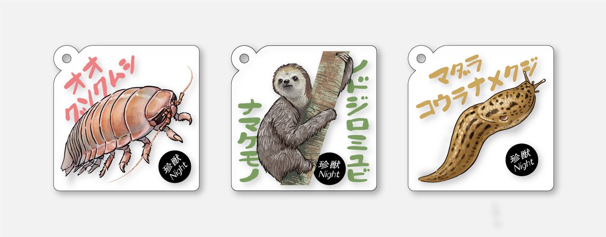 ほとんど0円大学 tweet media