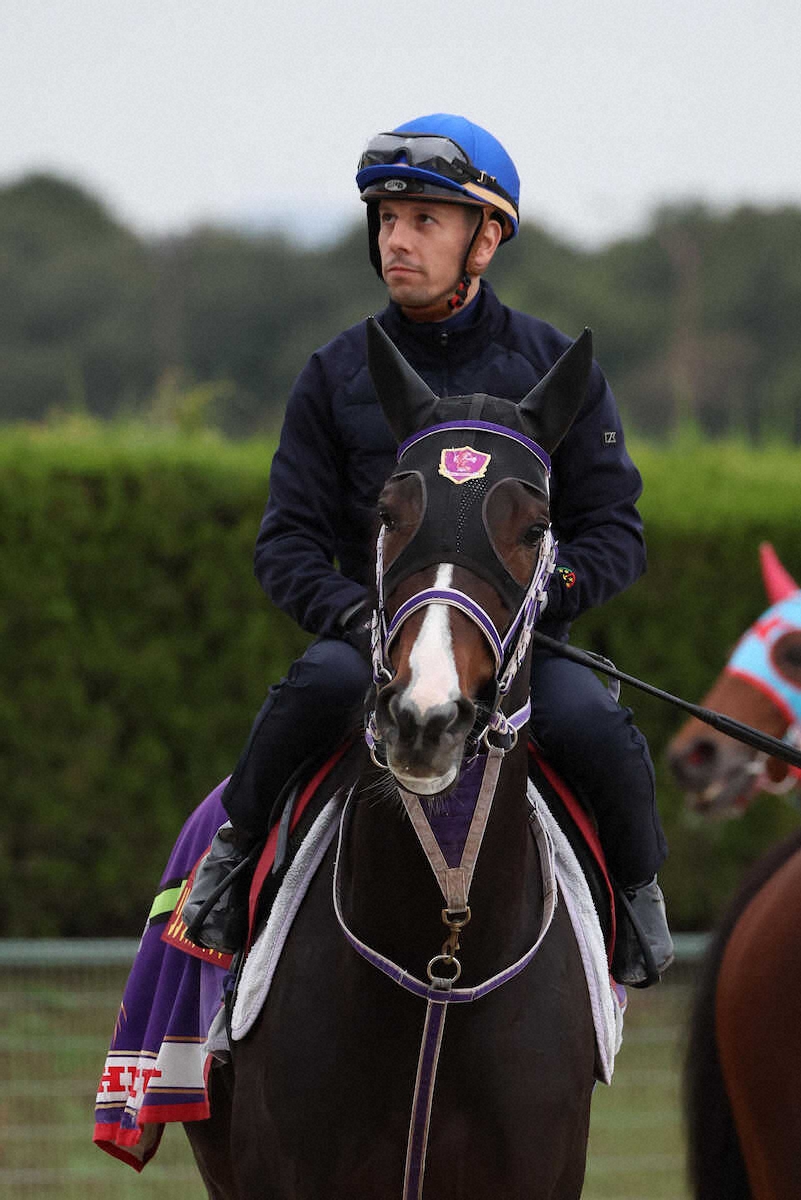 スペシャルウィーク (@sspecialweek) / Posts / X