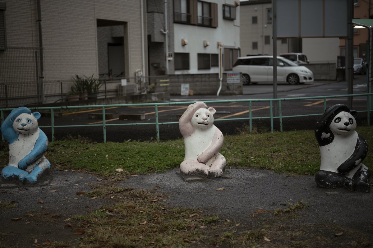 Setoyomuname's tweet image. 右寄り