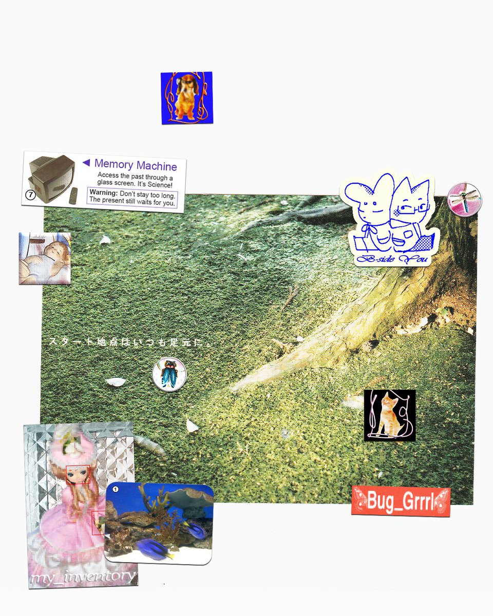 ░▒▓█ tweet media