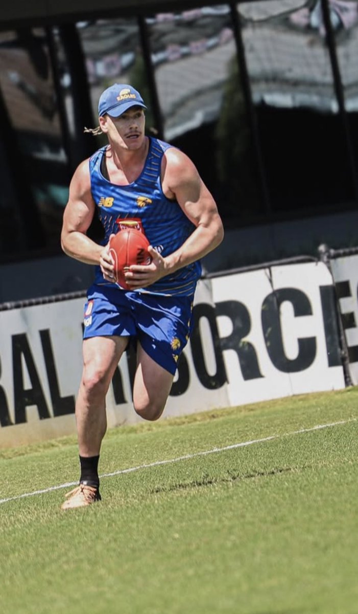 Kane Cornes tweet media