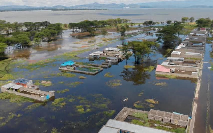 Timothy Kipchumba Toroitich tweet media