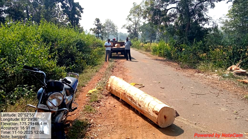 DFO Bolangir tweet media