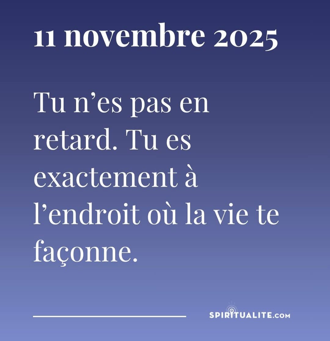 Sagesse Pure tweet media
