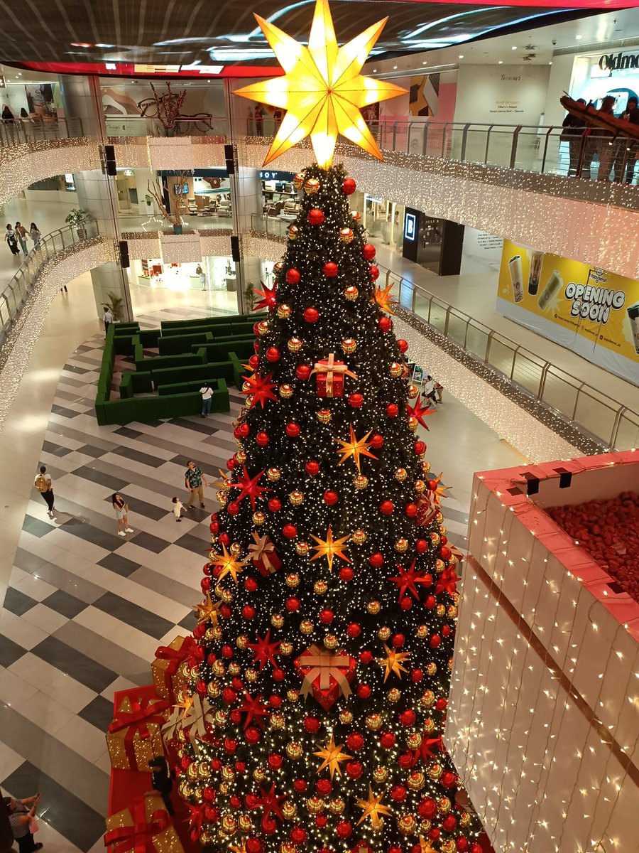 Repolio2's tweet image. Merry Christmas