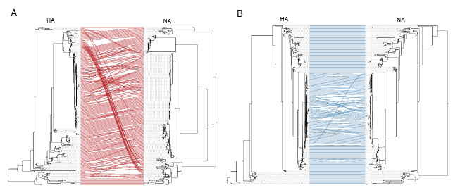 Michelle Wille tweet media