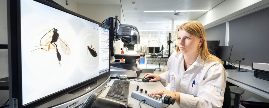 ARISE herkent Nederlandse natuur beter dan ooit: Alle Nederlandse soorten herkennen, op alle denkbare manieren. Vanaf vandaag kan iedereen gebruikmaken van ARISE, de onderzoeksinfrastructuur die dat mogelijk maakt. Door ARISE wordt biodiversiteit op… dlvr.it/TPBmFk