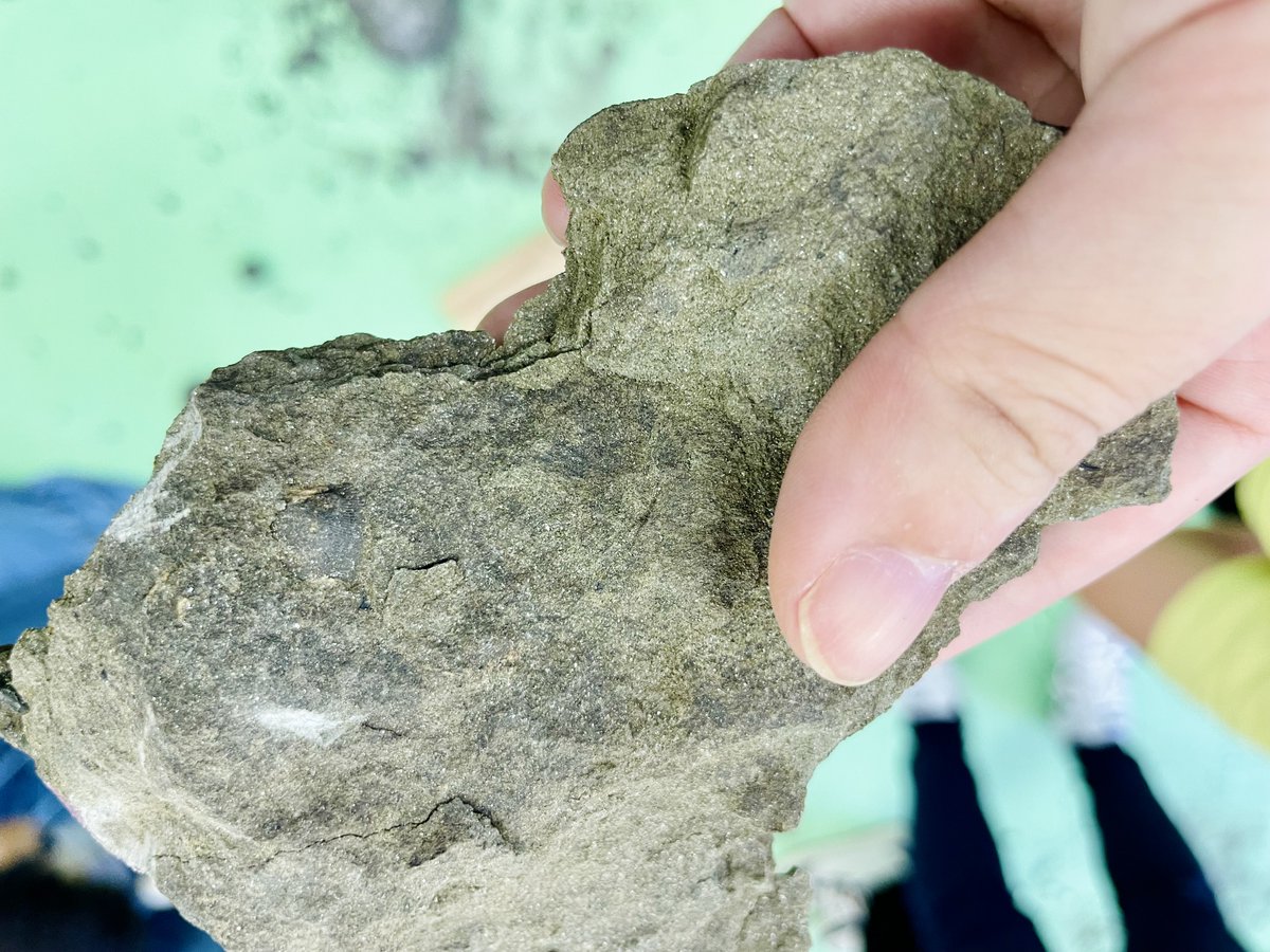 【令和7年度 恐竜博士育成講座】

第2回「調査研究2」化石発掘体験 を実施しました👨‍🔬

発掘からクリーニング〜展示まで、
化石が博物館に展示されるまでの過程を学びました✨

実習では、
長崎市伊王島で採れた岩石を割って化石を探す発掘体験🔨🦴
貝の化石や生痕化石を見つけることができました😄