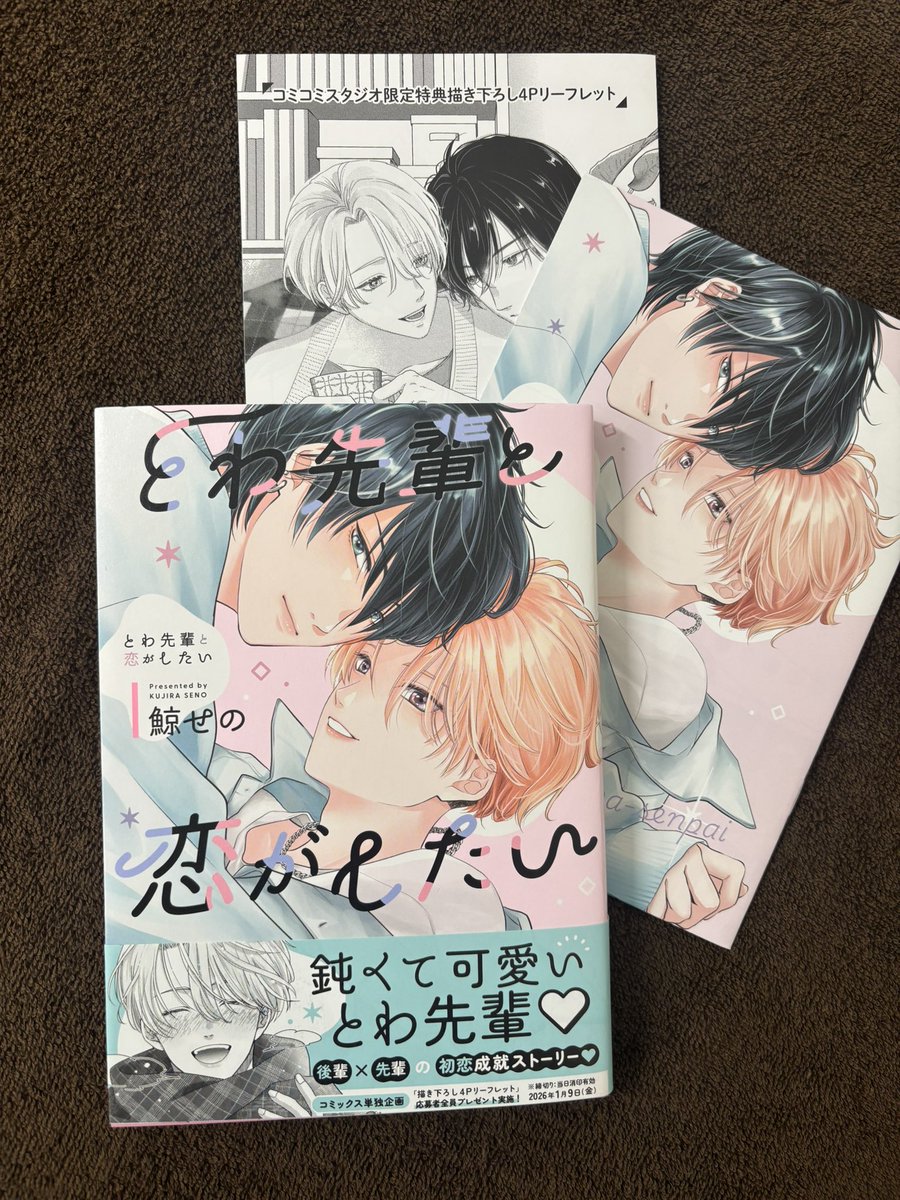 BL漫画　29冊セットC BLコミック40冊セット - メルカリ