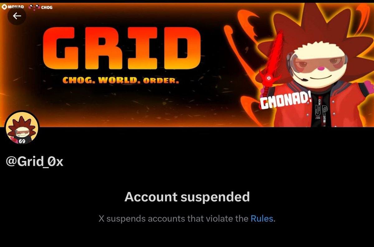 0x1_Grid's tweet image. GM

My main got suspended, I&apos;ll be using this now