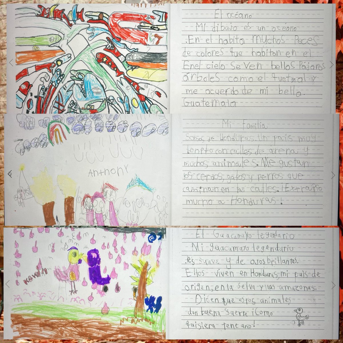 jahiching's tweet image. “Rayitos de Poesías” Beautiful collection of stories written in Spanish. Some about natural wonders and timeless traditions of the motherland. Poems that rekindle the joy of moments that memory holds close; echoes of a past that forever shines within them! #ProudAuthors ❤️