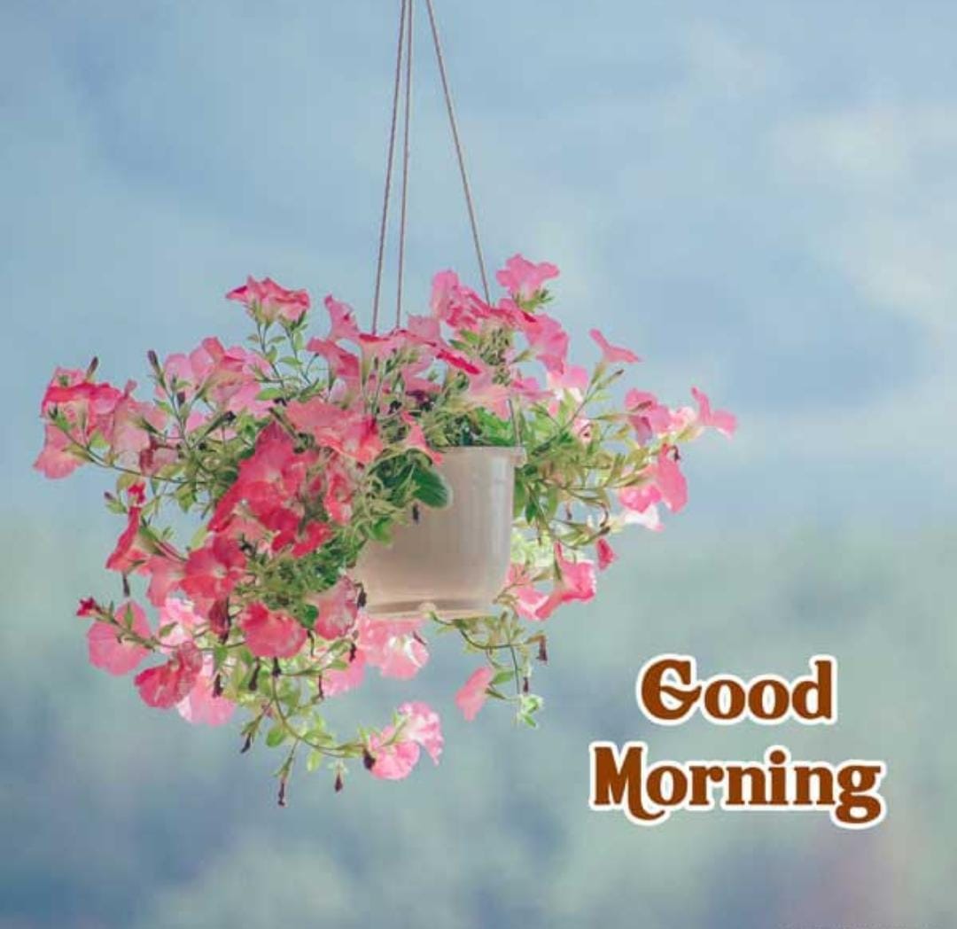 सुप्रभात मित्रों🙏🏻
आपका जीवन सुरक्षित एवम सुखद हो यही ईश्वर से कामना है। ❤️
<a href="/vijh_naveen/">Naveen Vijh</a> <a href="/budhwardee/">deepak</a> <a href="/_Sweet_Parul_/">❤️ INDIAN ❤️</a> <a href="/Meeeramehta3/">💞 MEERU 💞</a> <a href="/ModEci05/">ModEci</a> <a href="/anitaahuja121/">ANIETA</a> <a href="/IncPantd69/">𝘿𝙞𝙣𝙚𝙨𝙝𝙋𝙖𝙣𝙩_𝙄𝙉𝘾</a> <a href="/Arvindkuma43649/">Arvindkumar Jha</a> <a href="/DineshK03975523/">Dinesh Khandelwal</a> <a href="/INC_INDIAA/">RAGA INC</a> <a href="/cuffyak5/">cuffy my love 😘</a>